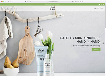 Dew North Skincare, Shopify Online Store